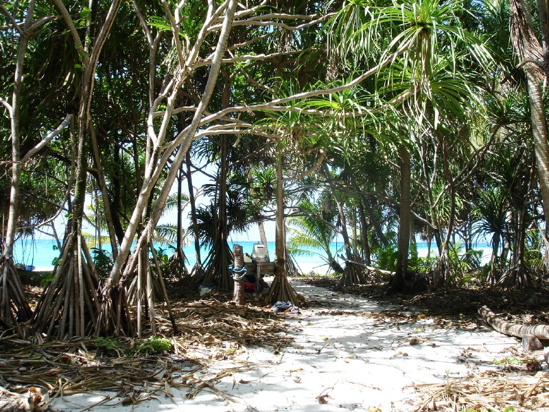 Looking back at the path leading from the shore to the inner island.